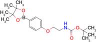 (2-[4-(4,4,5,5-Tetramethyl-[1,3,2]dioxaborolan-2-yl)-phenoxy]-ethyl)-carbamic acid tert-butyl ester