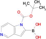 1-Boc-5-Azaindole-2-boronic acid