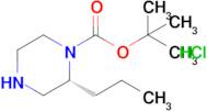 (R)-tert-Butyl 2-propylpiperazine-1-carboxylate hydrochloride