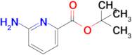 tert-Butyl 6-aminopicolinate