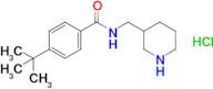 4-tert-Butyl-N-[(piperidin-3-yl)methyl]benzamide hydrochloride