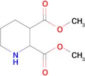 Dimethyl piperidine-2,3-dicarboxylate