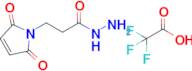 3-(2,5-Dioxo-2,5-dihydro-1H-pyrrol-1-yl)propanehydrazide 2,2,2-trifluoroacetate