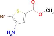 Methyl 4-amino-5-bromothiophene-2-carboxylate