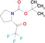 (S)-tert-Butyl 2-(2,2,2-trifluoroacetyl)pyrrolidine-1-carboxylate