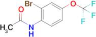 N-(2-Bromo-4-(trifluoromethoxy)phenyl)acetamide