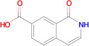 1-Oxo-1,2-dihydroisoquinoline-7-carboxylic acid