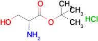 tert-Butyl D-serinate hydrochloride