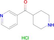 Piperidin-4-yl(pyridin-3-yl)methanone hydrochloride