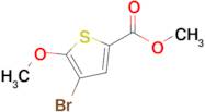 Methyl 4-bromo-5-methoxythiophene-2-carboxylate