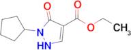 ethyl 2-cyclopentyl-3-oxo-2,3-dihydro-1H-pyrazole-4-carboxylate