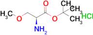 (S)-tert-Butyl 2-amino-3-methoxypropanoate hydrochloride