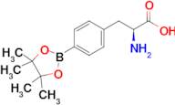 (S)-2-Amino-3-(4-(4,4,5,5-tetramethyl-1,3,2-dioxaborolan-2-yl)phenyl)propanoic acid