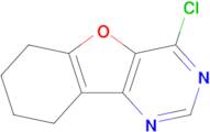 4-Chloro-6,7,8,9-tetrahydrobenzofuro[3,2-d]pyrimidine