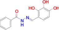 (E)-N'-(2,3,4-Trihydroxybenzylidene)benzohydrazide