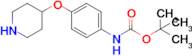 tert-Butyl (4-(piperidin-4-yloxy)phenyl)carbamate