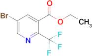 Ethyl 5-bromo-2-(trifluoromethyl)nicotinate