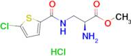 Methyl (S)-2-amino-3-(5-chlorothiophene-2-carboxamido)propanoate hydrochloride