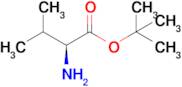 Tert-butyl L-valinate