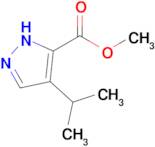 methyl 4-(propan-2-yl)-1H-pyrazole-5-carboxylate