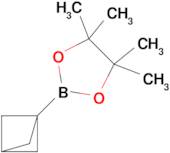 2-(Bicyclo[1.1.1]pentan-1-yl)-4,4,5,5-tetramethyl-1,3,2-dioxaborolane