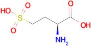 L-Homocysteic acid