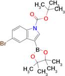 Tert-butyl 5-bromo-3-(4,4,5,5-tetramethyl-1,3,2-dioxaborolan-2-yl)-1H-indole-1-carboxylate