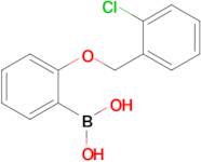 (2-((2-Chlorobenzyl)oxy)phenyl)boronic acid