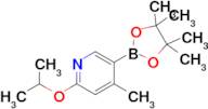 2-Isopropoxy-4-methyl-5-(4,4,5,5-tetramethyl-1,3,2-dioxaborolan-2-yl)pyridine