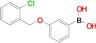 (3-((2-Chlorobenzyl)oxy)phenyl)boronic acid
