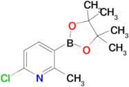 6-Chloro-2-methyl-3-(4,4,5,5-tetramethyl-1,3,2-dioxaborolan-2-yl)pyridine