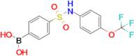 (4-(n-(4-(Trifluoromethoxy)phenyl)sulfamoyl)phenyl)boronic acid