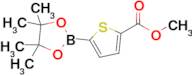 Methyl 5-(4,4,5,5-tetramethyl-1,3,2-dioxaborolan-2-yl)thiophene-2-carboxylate