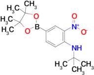 n-(Tert-butyl)-2-nitro-4-(4,4,5,5-tetramethyl-1,3,2-dioxaborolan-2-yl)aniline