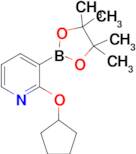 2-(Cyclopentyloxy)-3-(4,4,5,5-tetramethyl-1,3,2-dioxaborolan-2-yl)pyridine