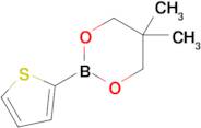 5,5-Dimethyl-2-(thiophen-2-yl)-1,3,2-dioxaborinane