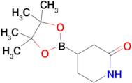 4-(4,4,5,5-Tetramethyl-1,3,2-dioxaborolan-2-yl)piperidin-2-one