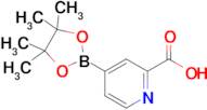 4-(4,4,5,5-Tetramethyl-1,3,2-dioxaborolan-2-yl)picolinic acid