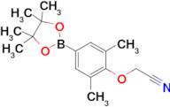 2-(2,6-Dimethyl-4-(4,4,5,5-tetramethyl-1,3,2-dioxaborolan-2-yl)phenoxy)acetonitrile