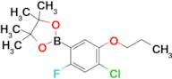 2-(4-Chloro-2-fluoro-5-propoxyphenyl)-4,4,5,5-tetramethyl-1,3,2-dioxaborolane