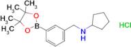 N-(3-(4,4,5,5-Tetramethyl-1,3,2-dioxaborolan-2-yl)benzyl)cyclopentanamine hydrochloride