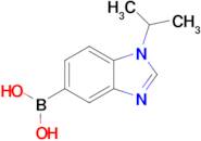 (1-Isopropyl-1,3-benzodiazol-5-yl)boronic acid