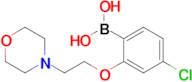 {4-Chloro-2-[2-(morpholin-4-yl)ethoxy]phenyl}boronic acid