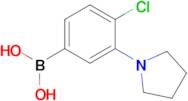 [4-Chloro-3-(pyrrolidin-1-yl)phenyl]boronic acid