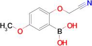 [2-(Cyanomethoxy)-5-methoxyphenyl]boronic acid