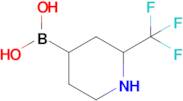 [2-(Trifluoromethyl)piperidin-4-yl]boronic acid