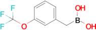 {[3-(Trifluoromethoxy)phenyl]methyl}boronic acid