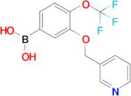 [3-(Pyridin-3-ylmethoxy)-4-(trifluoromethoxy)phenyl]boronic acid