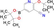 2-tert-Butoxy-5-(4,4,5,5-tetramethyl-1,3,2-dioxaborolan-2-yl)nicotinonitrile