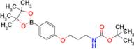 (3-[4-(4,4,5,5-Tetramethyl-[1,3,2]dioxaborolan-2-yl)-phenoxy]-propyl)-carbamic acid tert-butyl est…